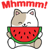Mhmmm watermelon cat