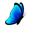 Blue butterfly