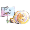 Stay at home