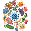 Bacterium virus