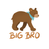 Big Bro Big Brother Bear