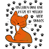 KATZE - KATZE - KATZE - KATZE