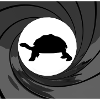 Tortue Bond