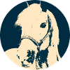Western Power Horse