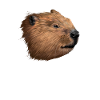Biber