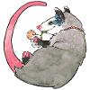 Summer opossum
