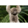 sloth merch