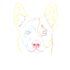 Dog Australian Cattle Dog Strokes