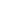 Adventure Before Dementia