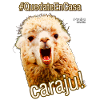 Quedate En Casa Caraju