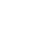 Sunflower of life