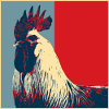 Rooster