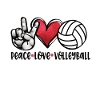 volleyball