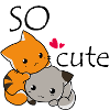 Cat cuddle and naughty dog