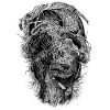 Decay