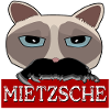 Mietzsche Nietzsche Philosophie chat Persan