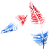 feathers red white blue