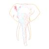 Éléphant