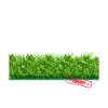 Garden Dear Hedges Inspector Hedge Trimmer