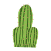 Cactus penis