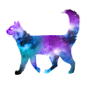Étoiles spatiales de chat