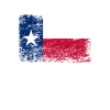 Texas USA flag flag