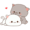 Cute cat