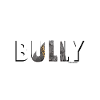 Bully Fun
