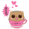 Cat Cute