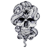 Serpent crâne