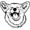 Corgie