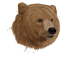 Bear Splatter