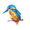 GEO BIRD (Ayako)