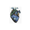 Vincent van Gogh heart