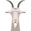 Mountain goat