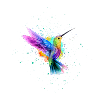 Aquarelle arc-en-ciel Explosion de Colibri