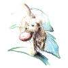 Frisbee Dog