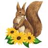 Eichhörnchen