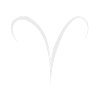 Aries zodiac sign