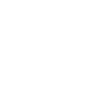 Occult carpet moth