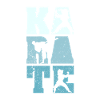 Karate