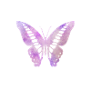 Papillon papillons