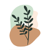 Abstrakte organiske former og minimalistisk planter