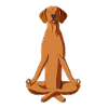 Dog Hungarian Vizsla Meditate