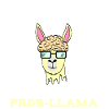 AlpakaHemd mit einer MatheIllustration des