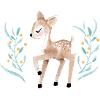 Little deer