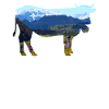 Allgäu Alps Bavaria