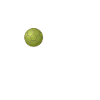 Team coach handball coach