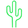 NeonCactus