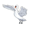 Swan Swans Waterfowl Wildlife Bird